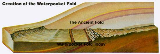 Drawing of the Fold layers